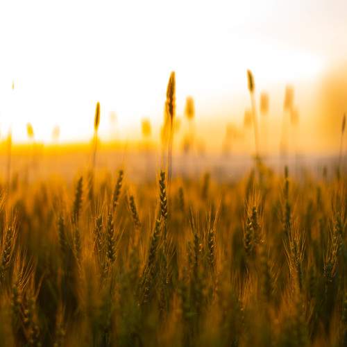 Photo #9478824
