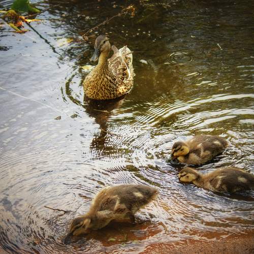 Photo #9479056