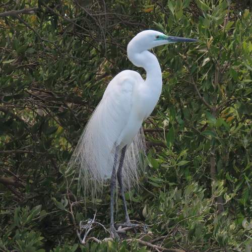 Photo #9479902