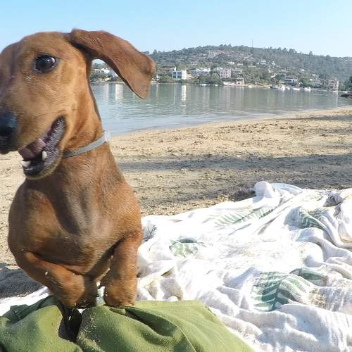 Photo #9479964