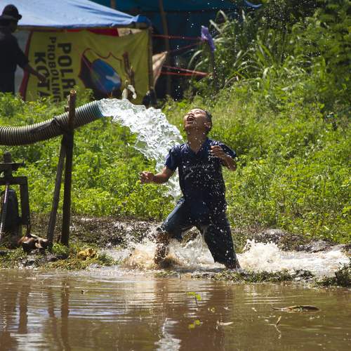Photo #9480048