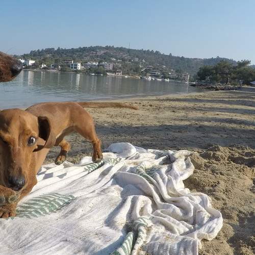 Photo #9480049