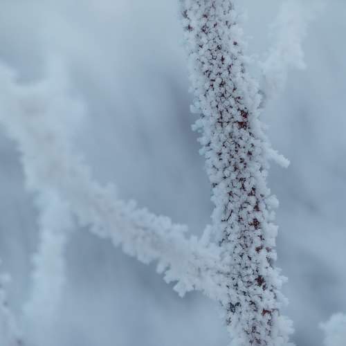 Photo #9480717