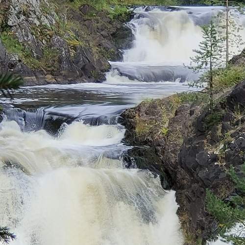 Photo #9480886