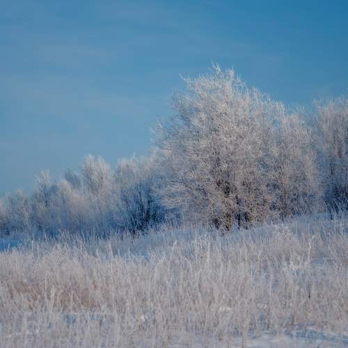 Photo #9480941