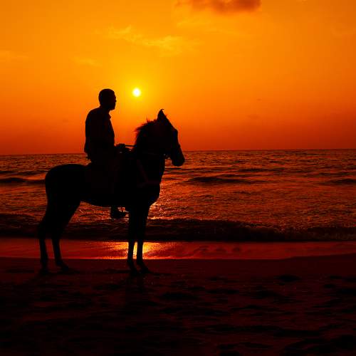 Photo #9481180