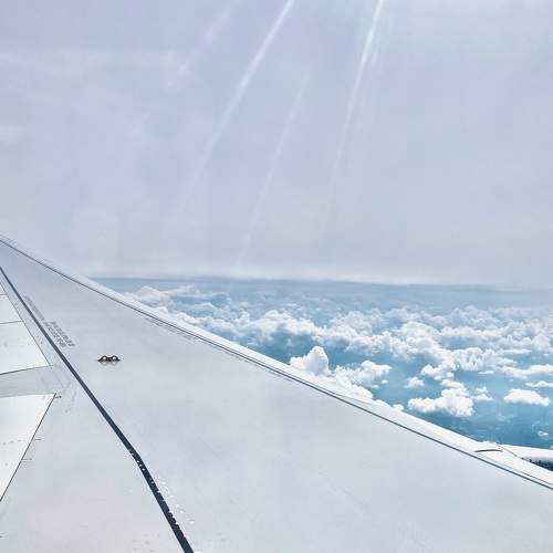 Photo #9481318