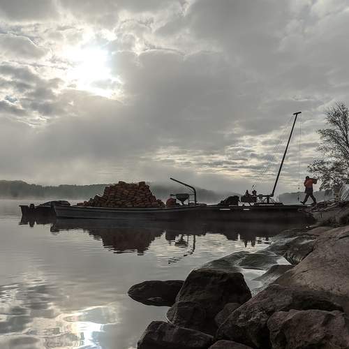 Photo #9481341