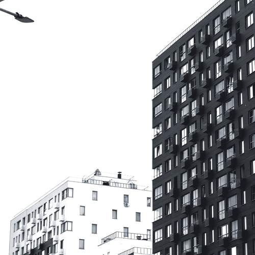 Photo #9481377