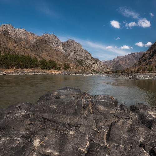 Photo #9481562