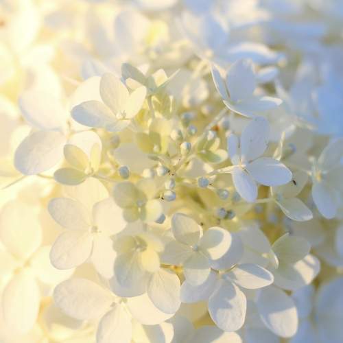 Photo #9481625