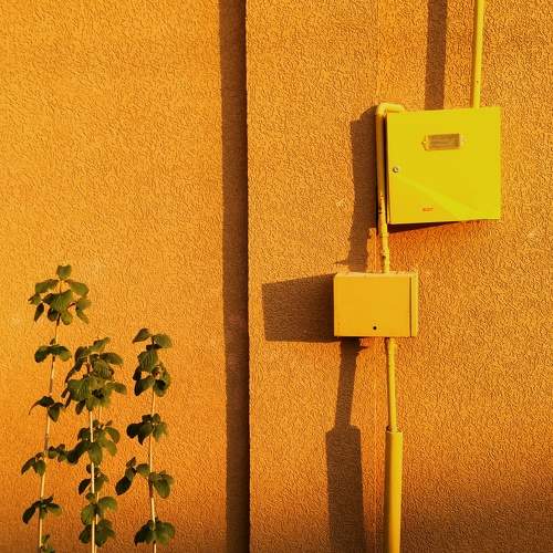 Photo #9482003