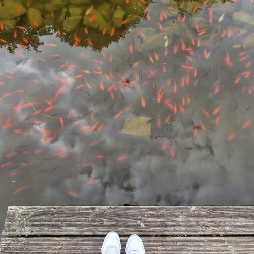 Photo #9482587