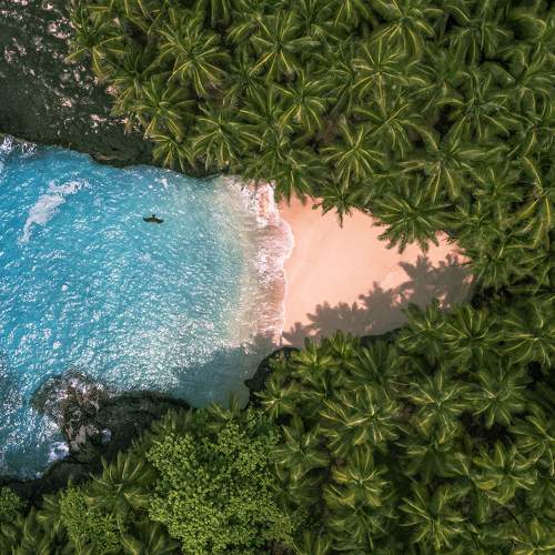 Photo #9482888