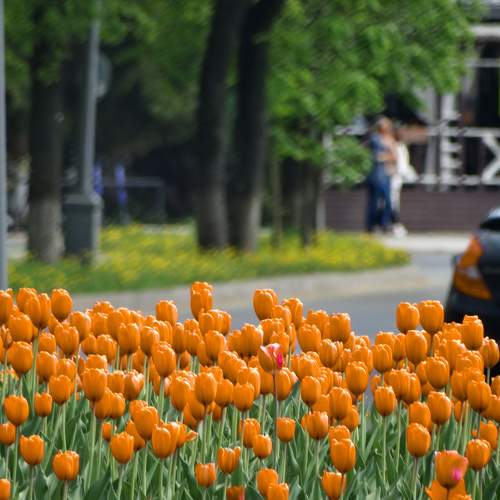 Photo #9483025