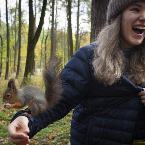 Photo #9483058