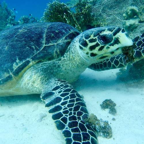 Photo #9483548
