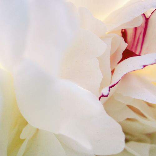 Photo #9483692