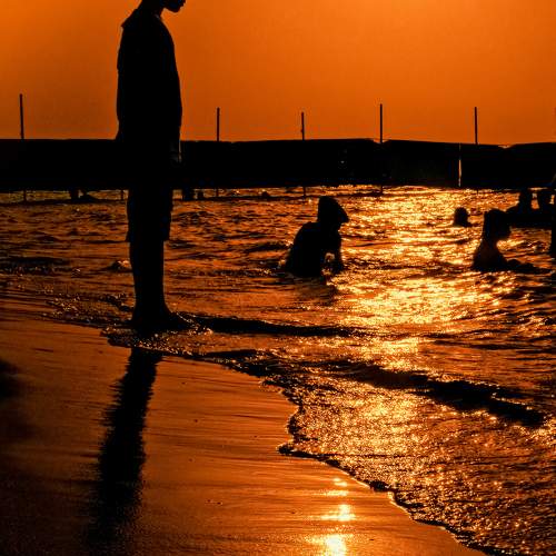 Photo #9483852