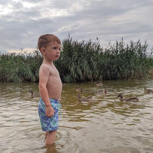 Photo #9484154