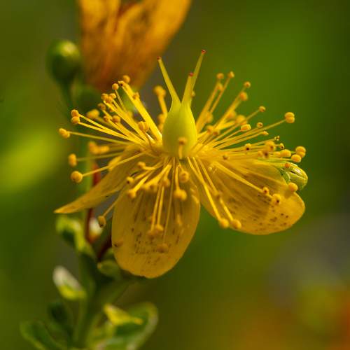 Photo #9484218