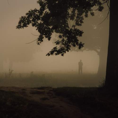Photo #9484753