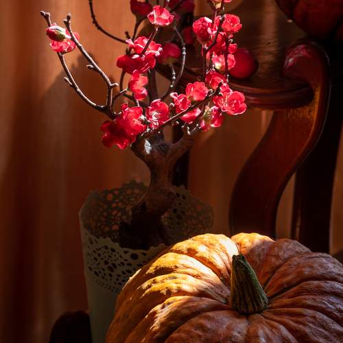 Photo #9484788