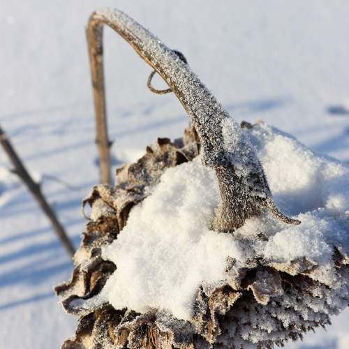 Photo #9484794