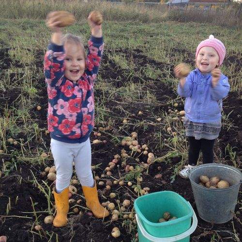 Photo #9484942