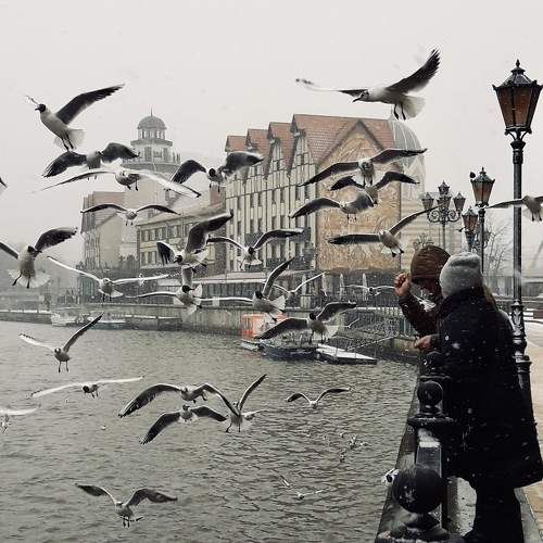 Photo #9485268