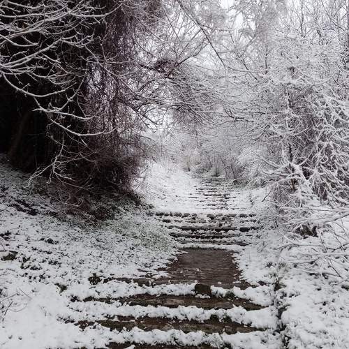 Photo #9485346