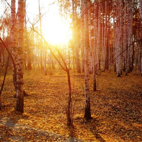 Photo #9485555