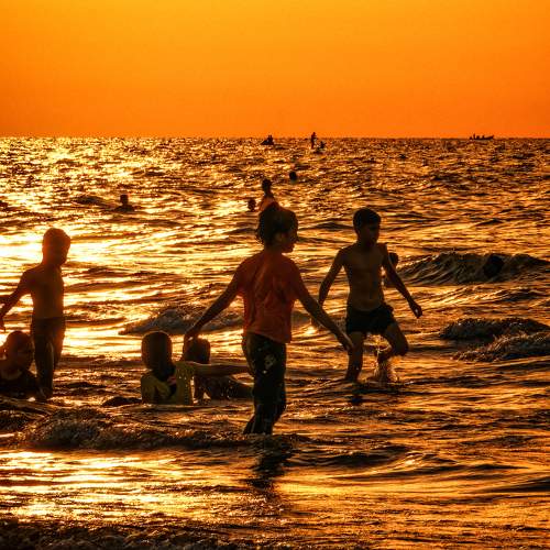 Photo #9485607