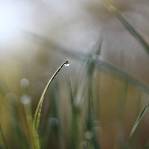 Photo #9486004