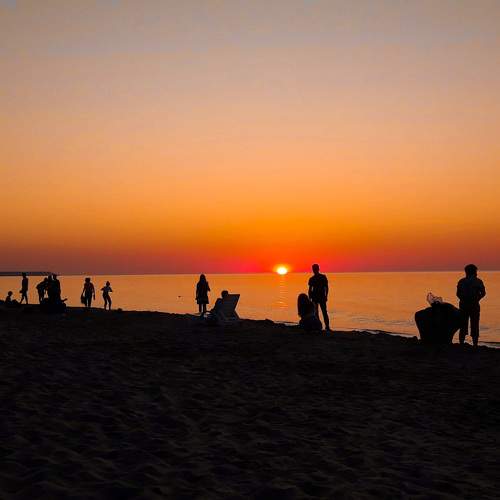 Photo #9486151