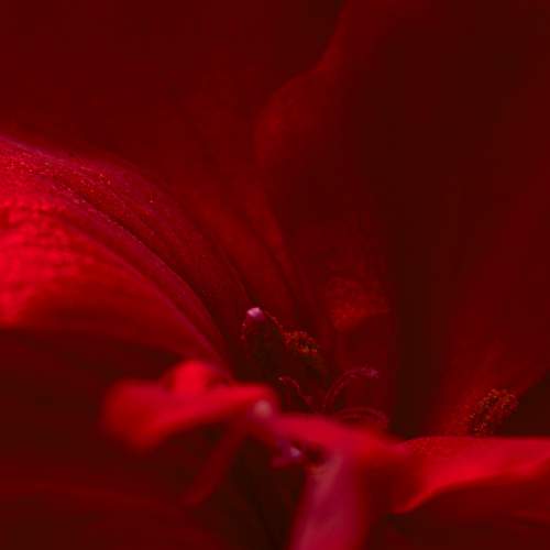 Photo #9486177