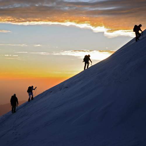 Photo #9486186