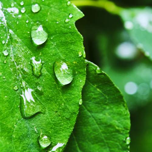 Photo #9486395