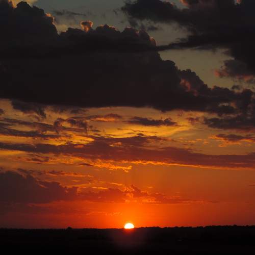 Photo #9486691