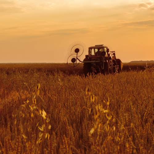 Photo #9486693