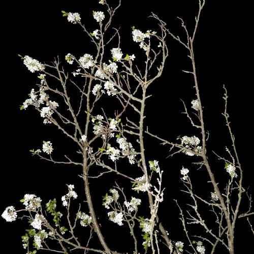 Photo #9486723