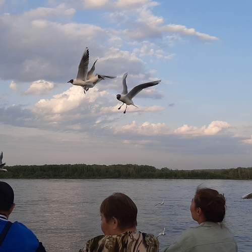 Photo #9486822