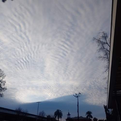 Photo #9486855