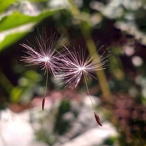 Photo #9486887