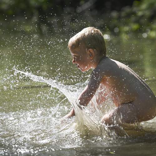 Photo #9487456