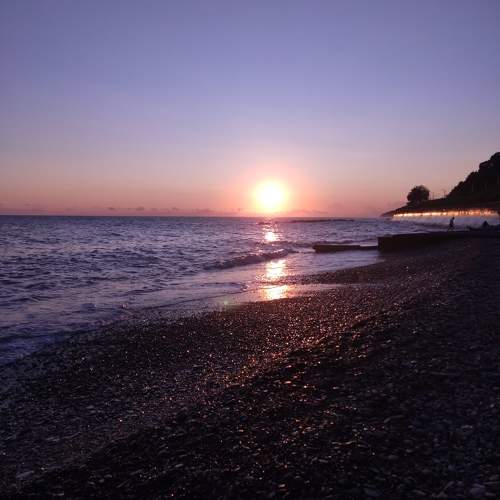 Photo #9487608