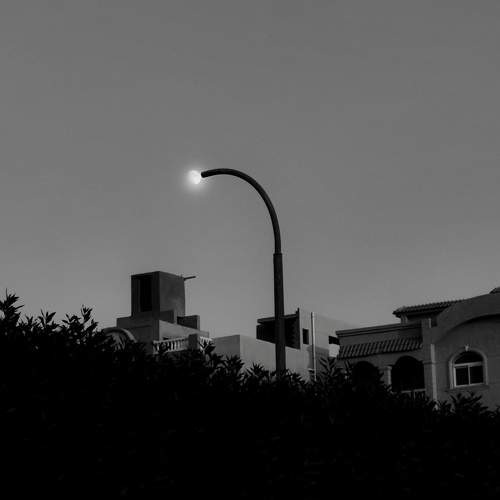 Photo #9487624