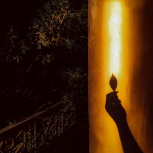 Photo #9487630