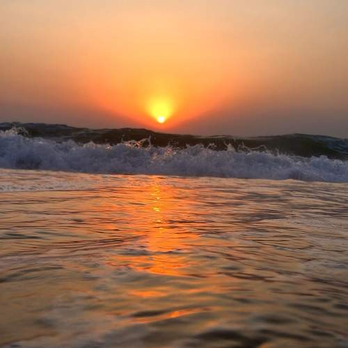 Photo #9487643