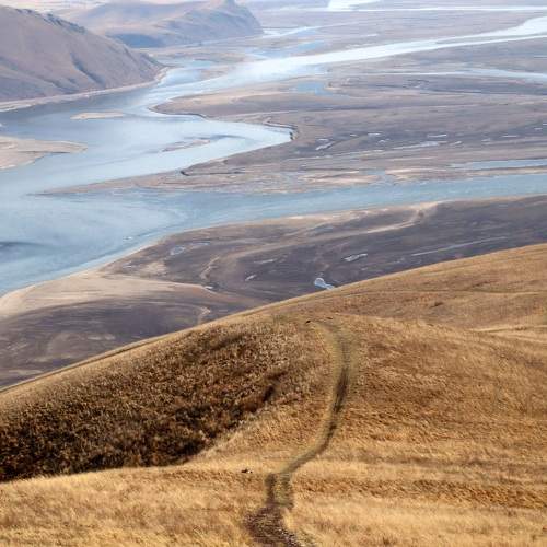 Photo #9487895